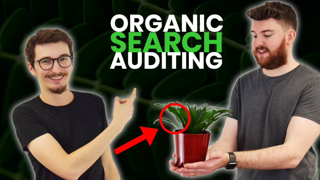 organic search audit